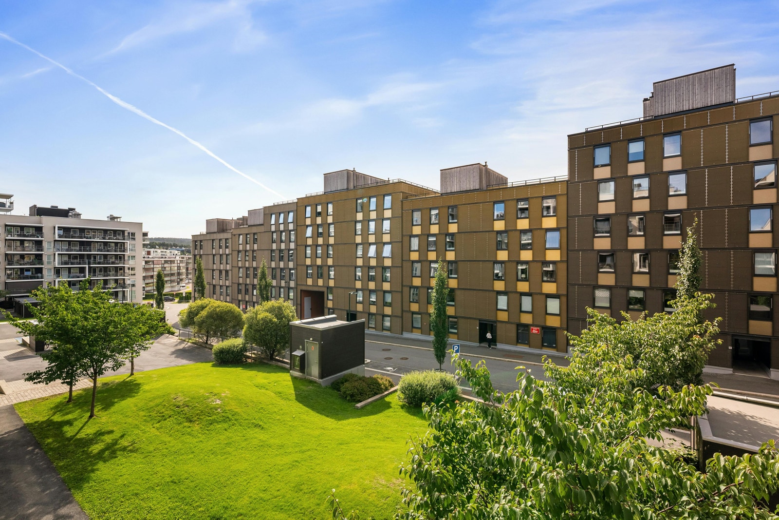 Grøntområdet i bakgården Galleribilde