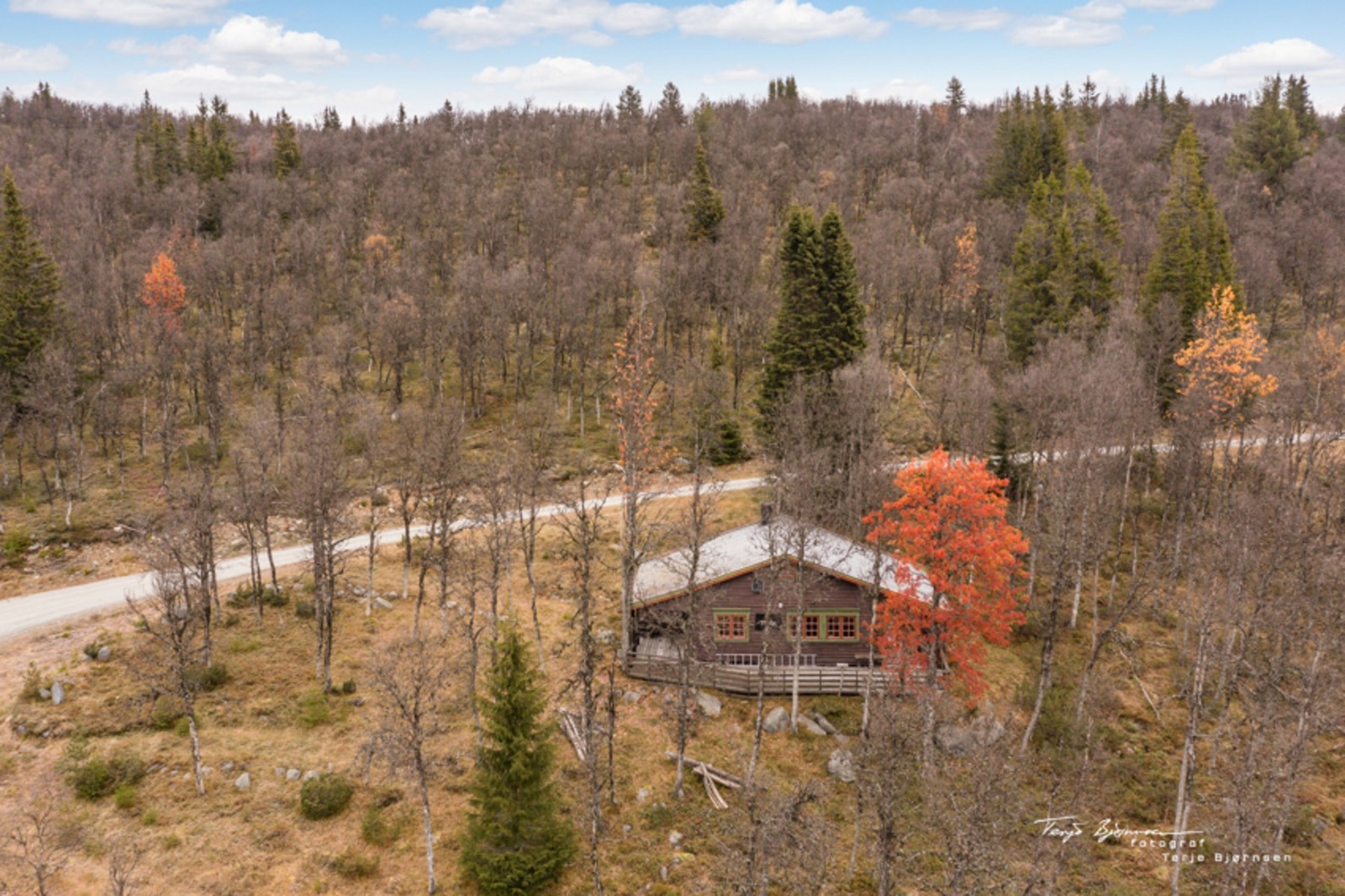 Fint beliggende med naturen rett utenfor døren. Galleribilde