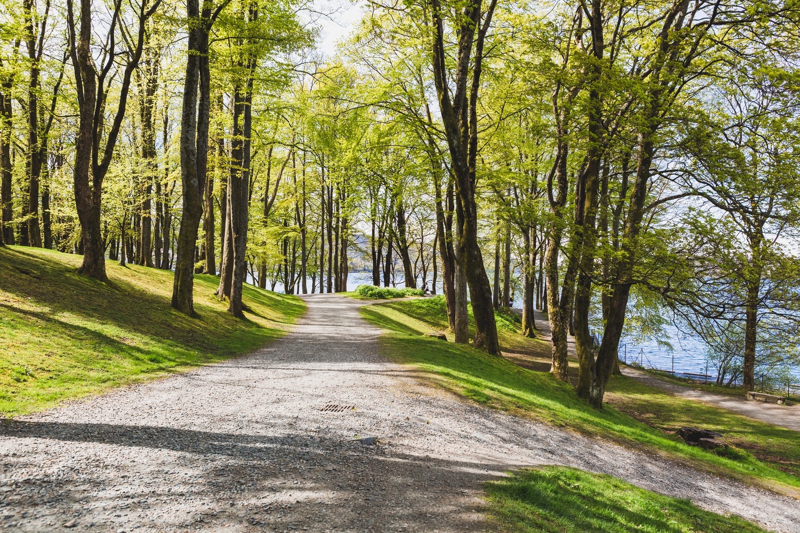 Nordnes parken er et populært valg på solrike dager! Galleribilde