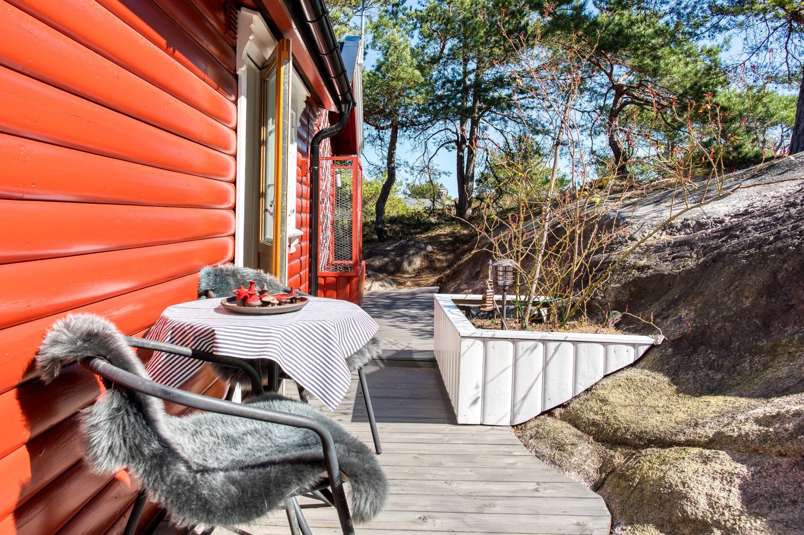 Platting med morgensol, på baksiden av hytta Galleribilde