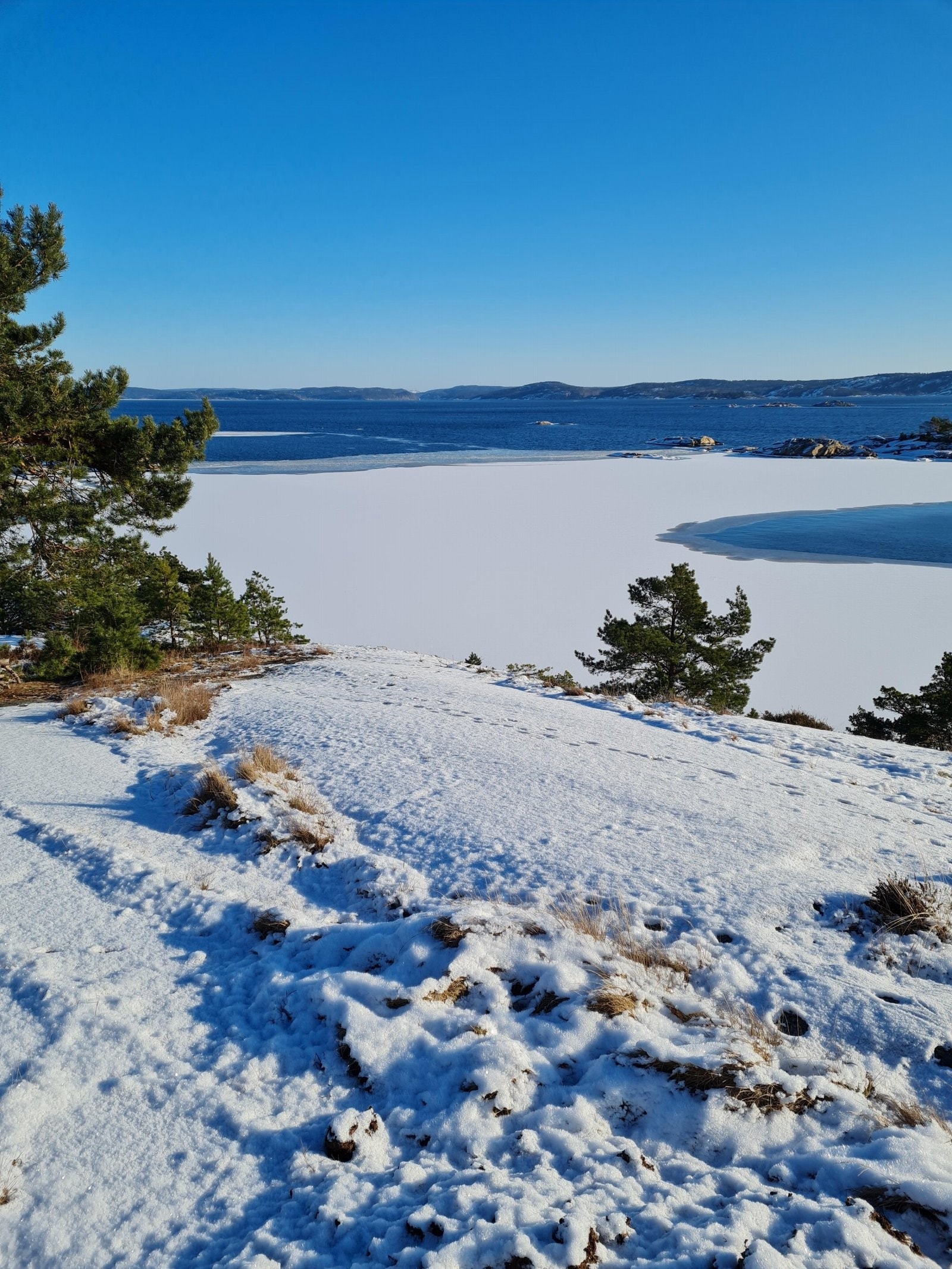 Vinterstemning Galleribilde