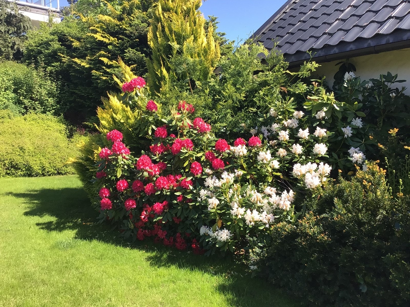 Blomster.jpg Galleribilde