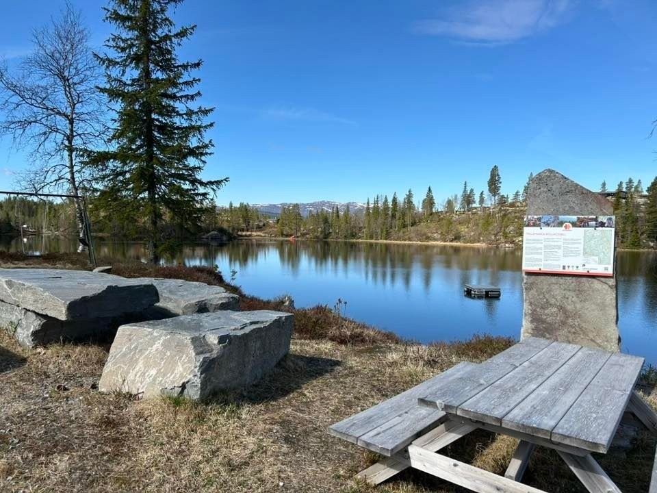 Metjønn Galleribilde