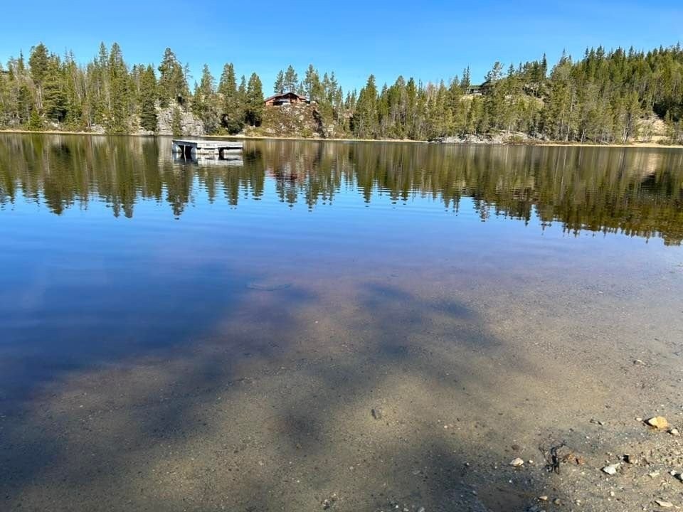 Badeplassen ved Metjønn Galleribilde