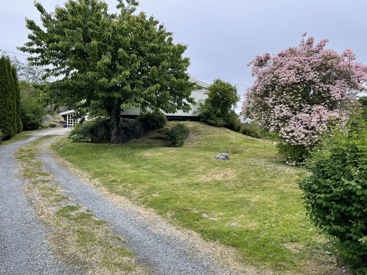 Velkommen til Ekornveien 1 Galleribilde