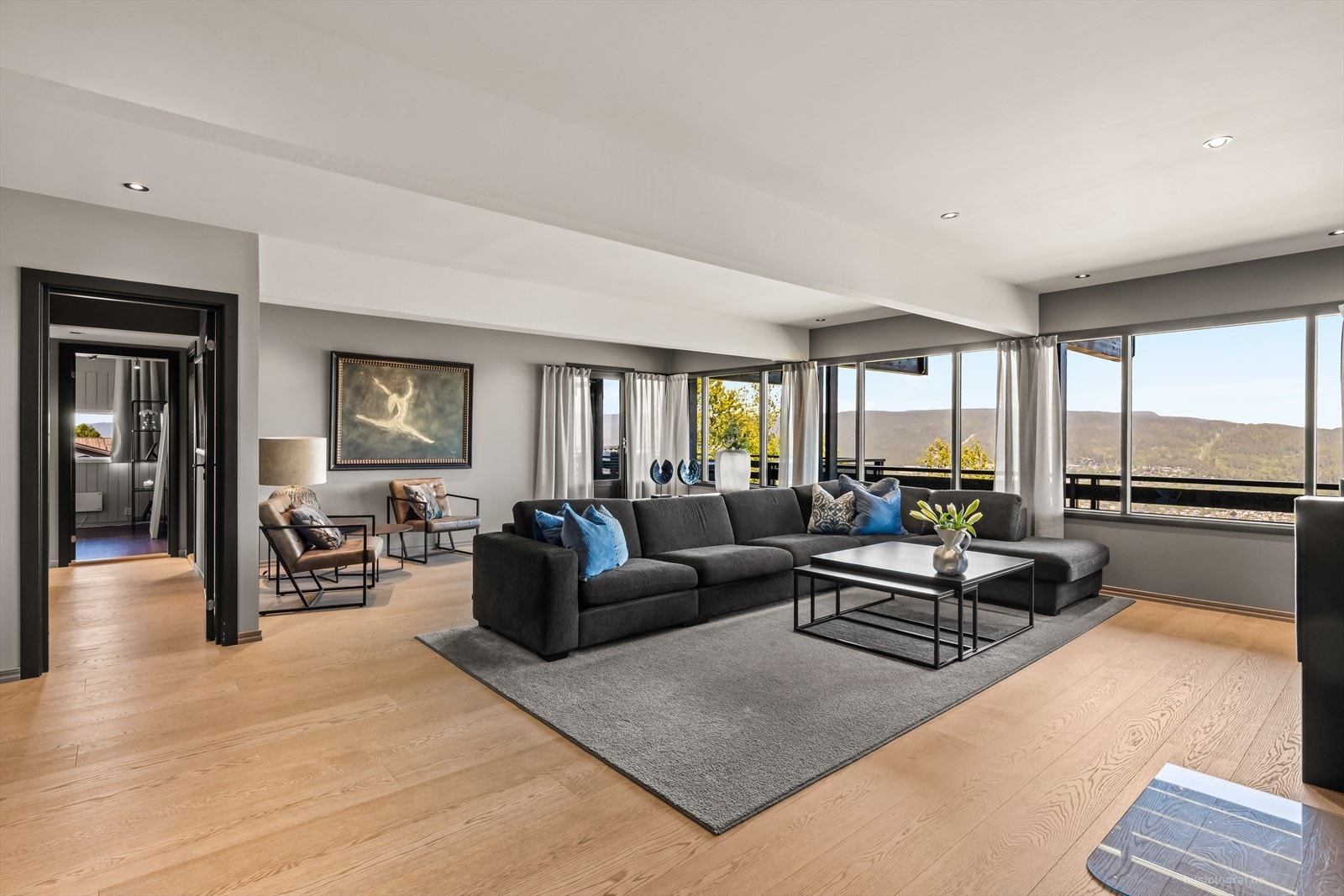 Meget romslig og luftig stue med herlig utsyn over Drammen by Galleribilde