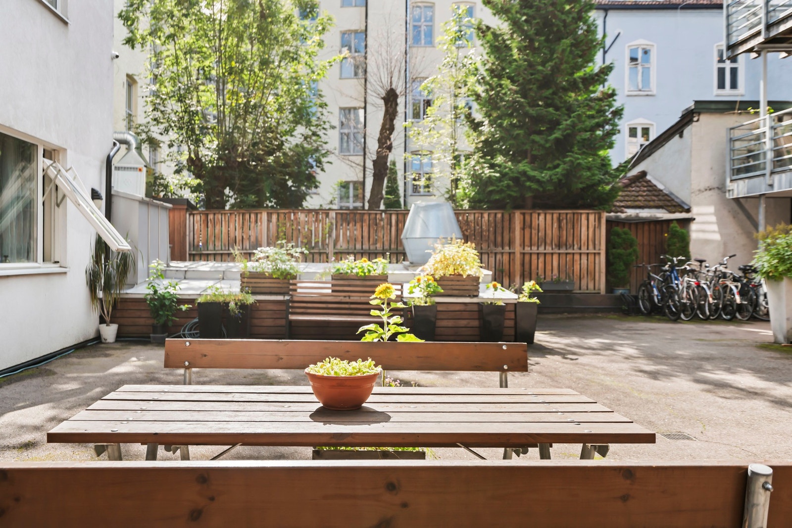 Hyggelig felles bakgård med sittegrupper og beplantning. Galleribilde