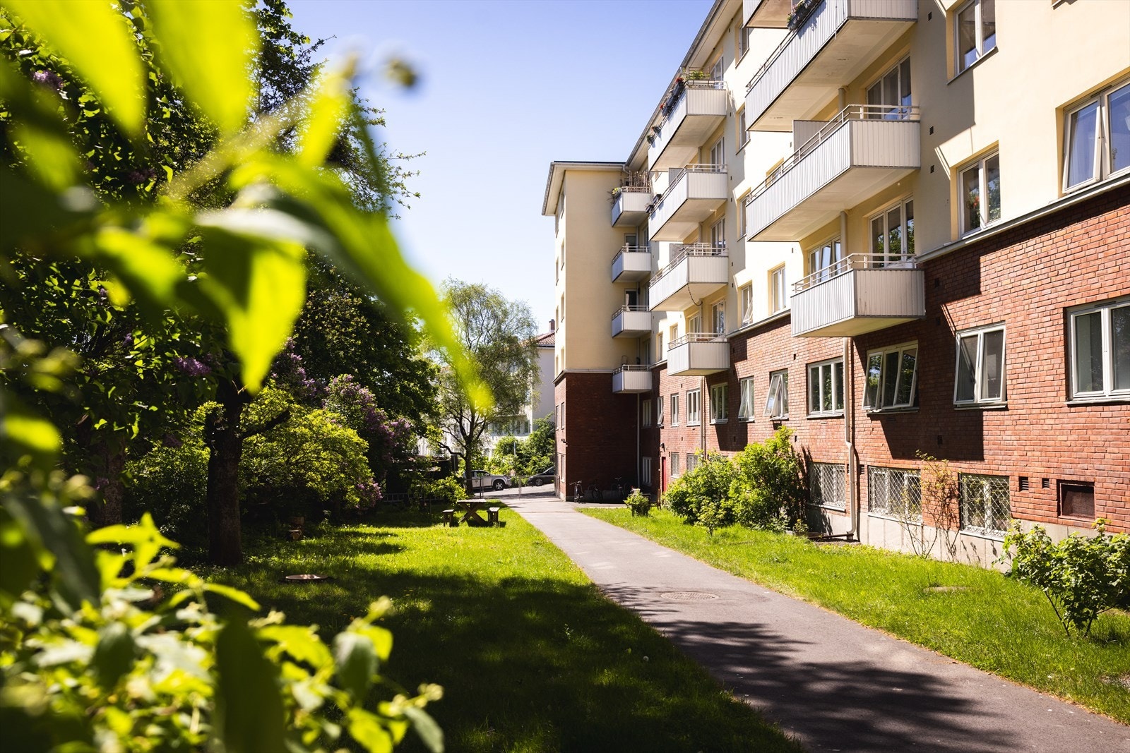 - Hyggelige fellesområder - Galleribilde