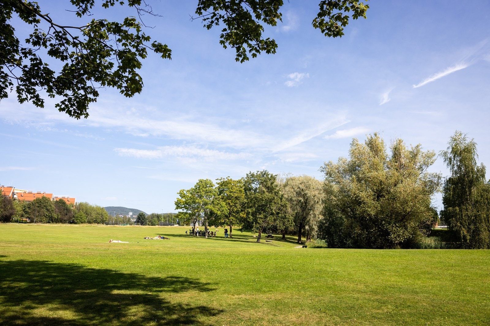 - Nydelige parken på Valle Hovin ligger like ved boligen. Her kan man kose seg hele året - Galleribilde