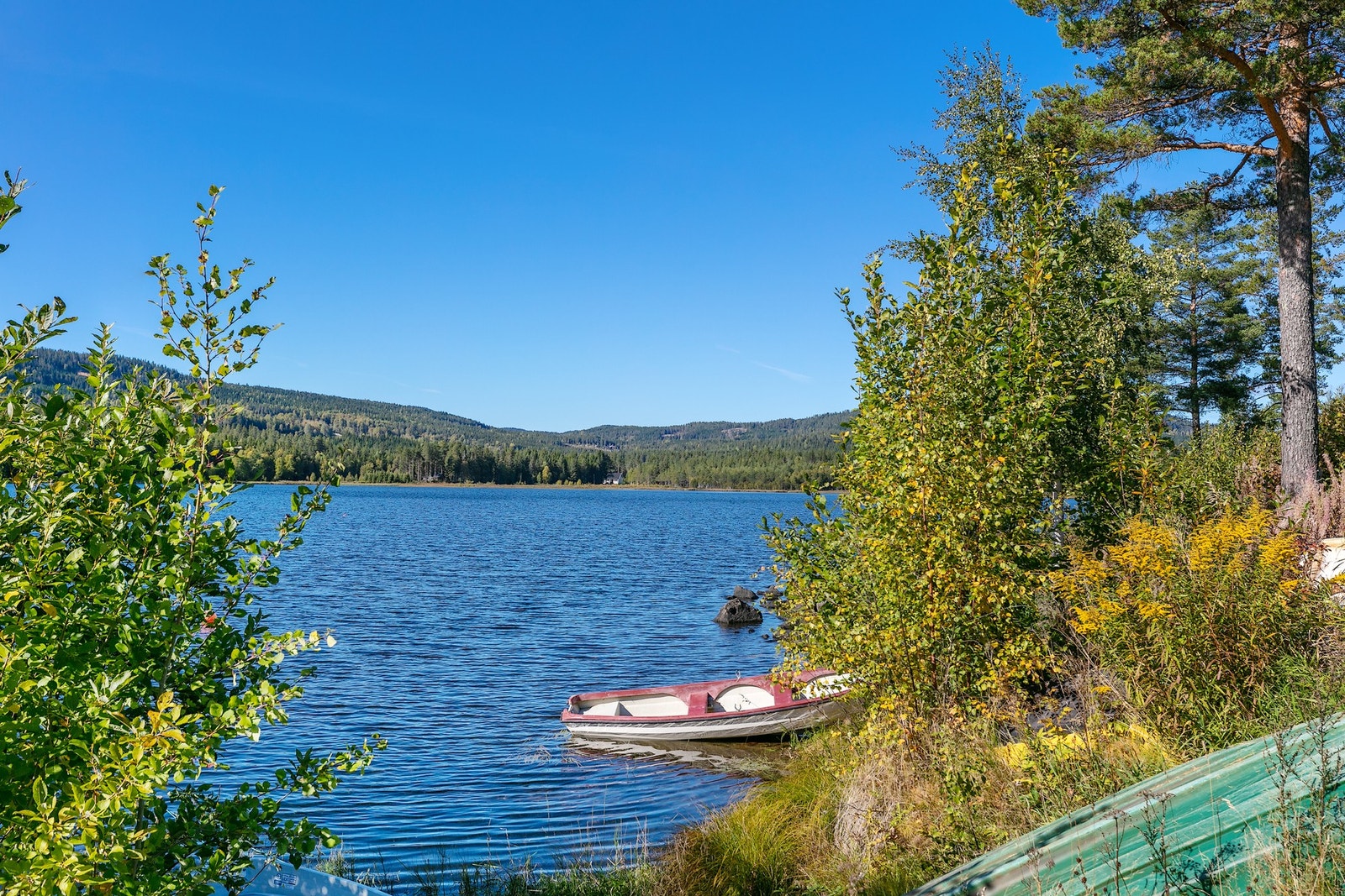 Kort vei til bade- og fiskevann. Galleribilde