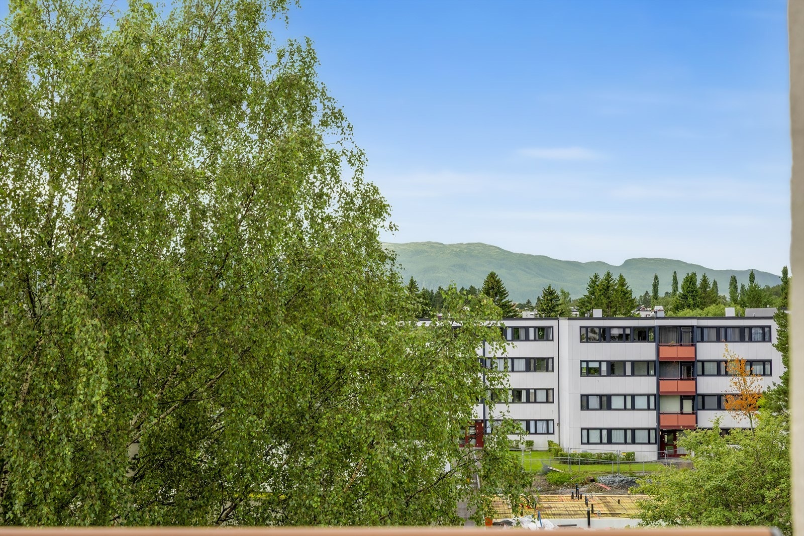 Utsikt mot nærområdet. Galleribilde