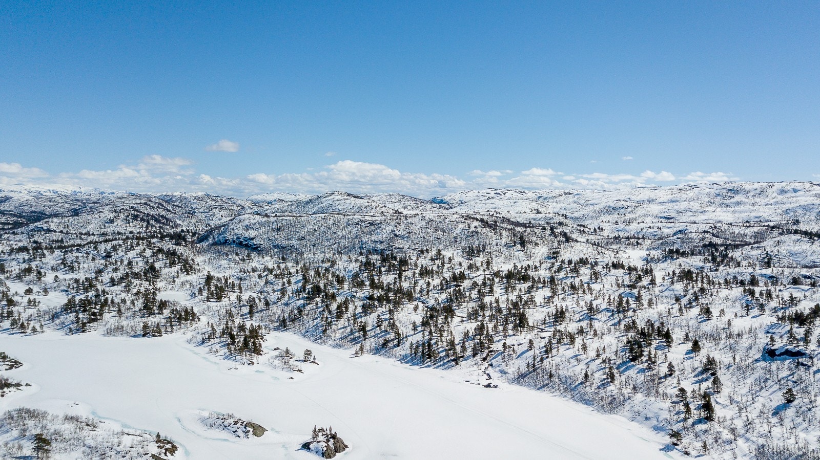 Flott turterreng Galleribilde