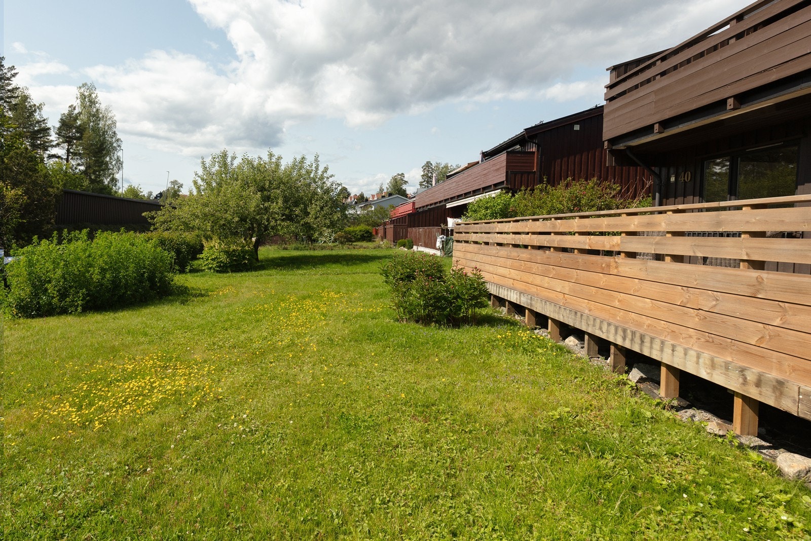 En stor og fin hage rett utenfor terrassen. Galleribilde