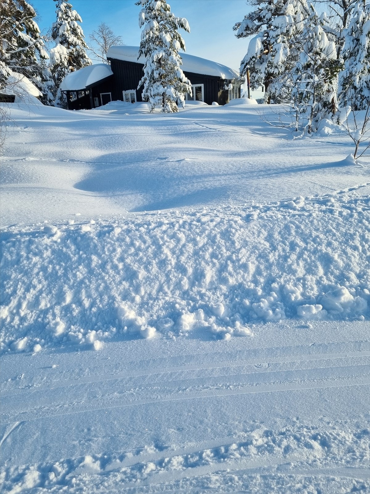 Selgers egne bilder; Skiløypene passerer rett forbi hytta Galleribilde