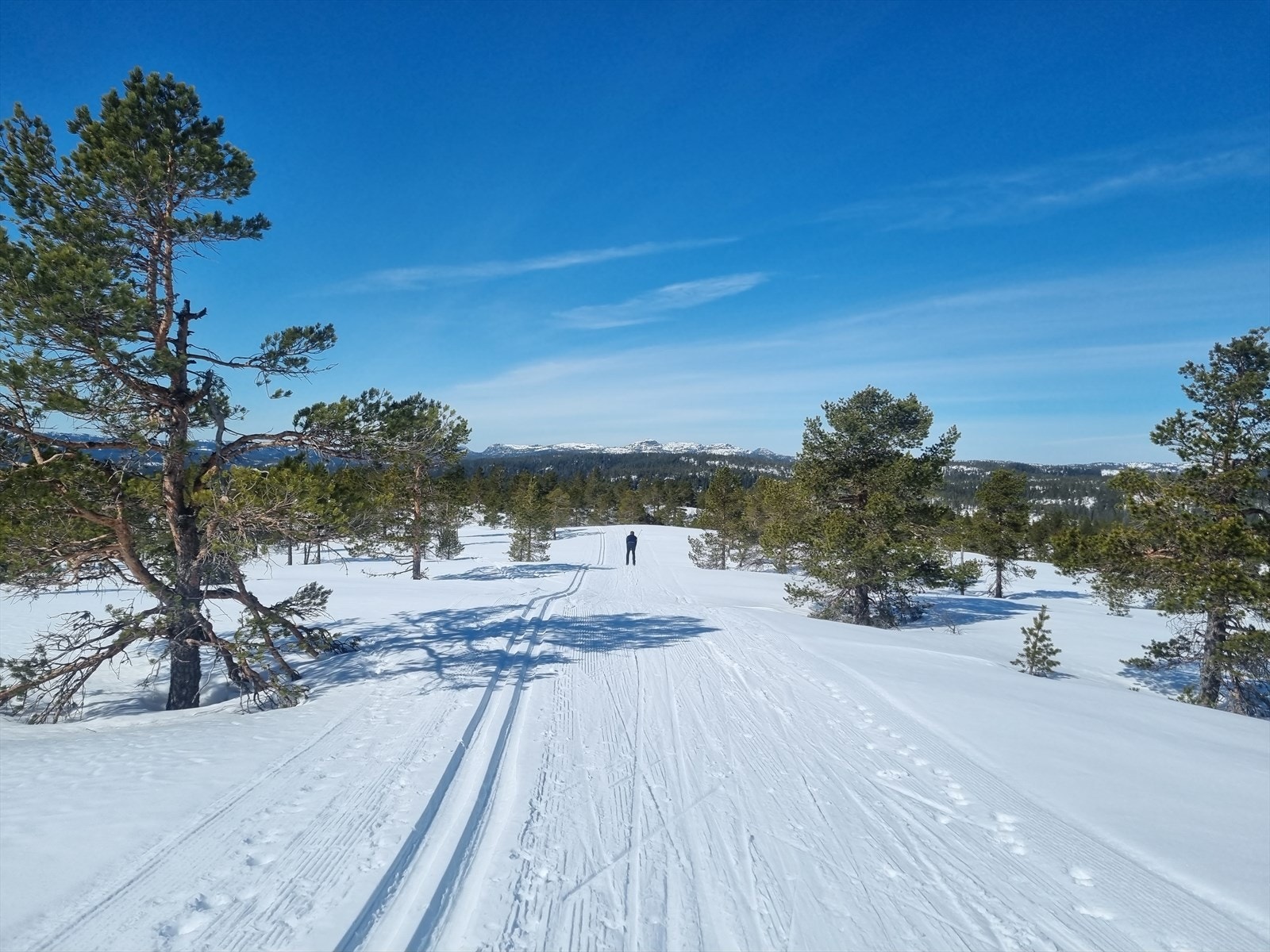 Selgers egne bilder; Nyeoppkjørte spor Galleribilde