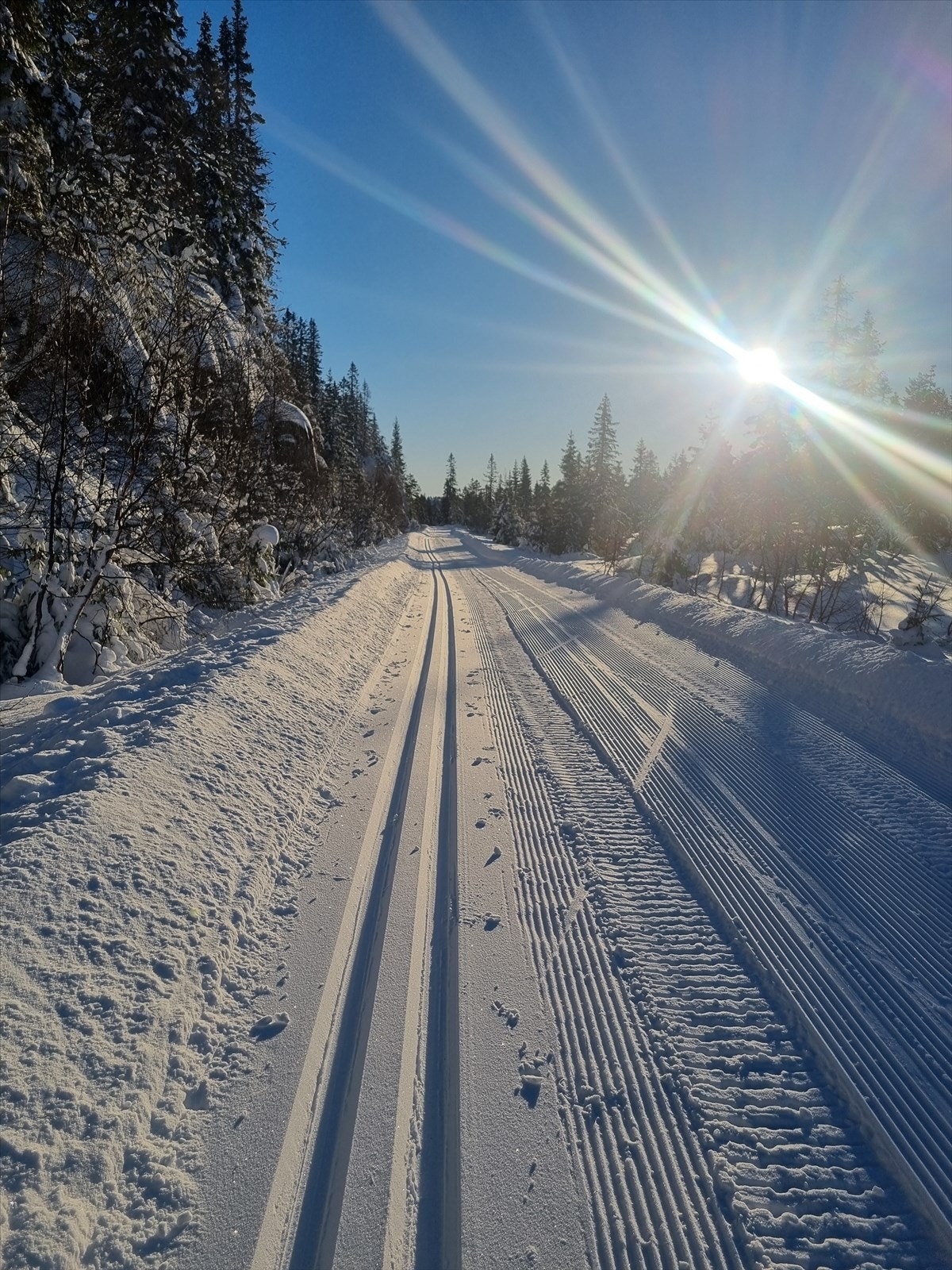 Selgers egne bilder; Skitur en kald vinterdag Galleribilde