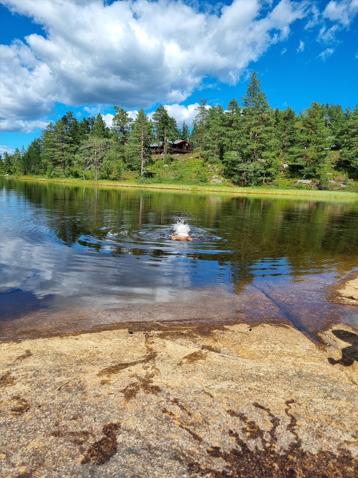Selgers egne bilder; Flotte bademuligheter på Skrim. Her fra Igletjern Galleribilde