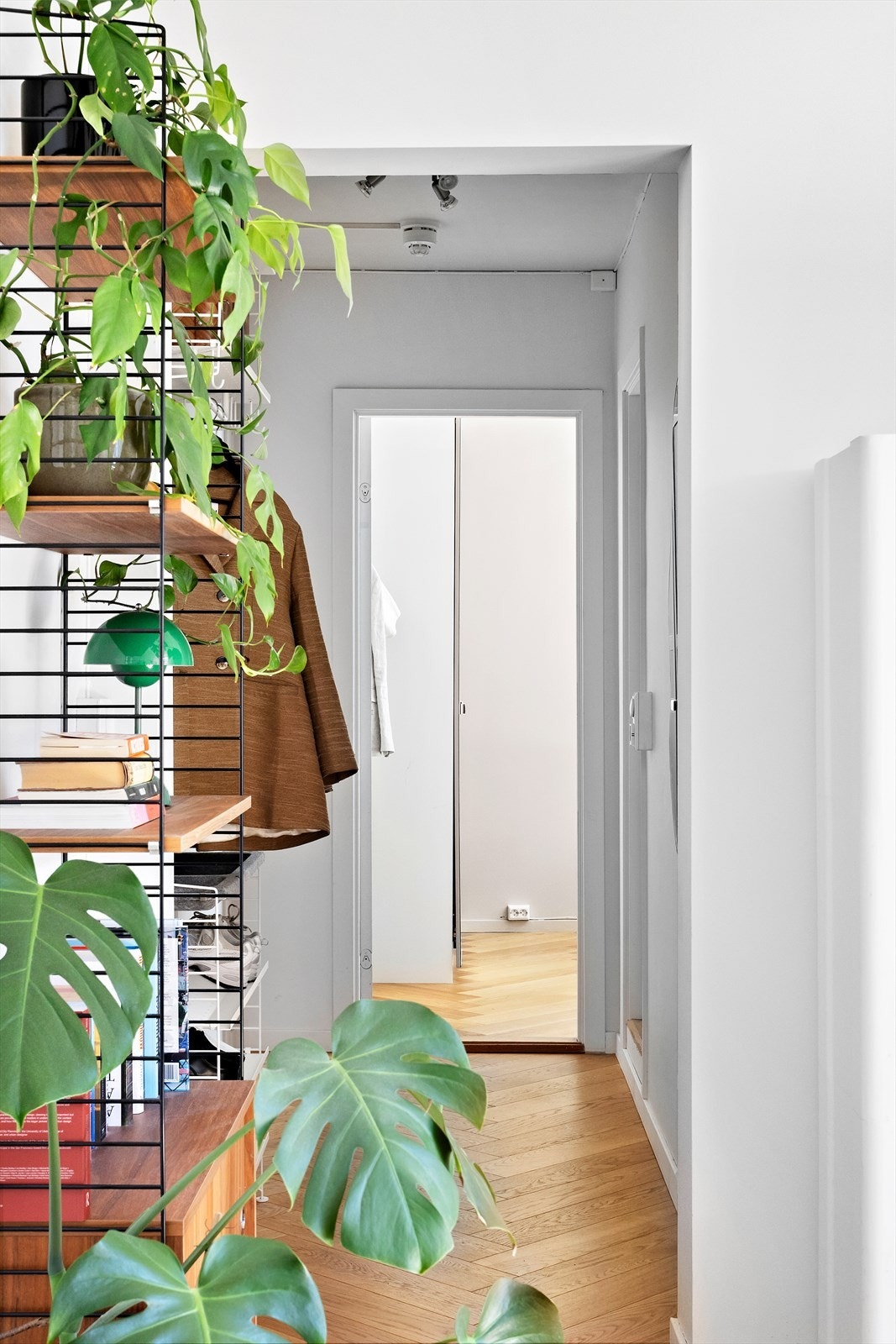 Entré. Galleribilde