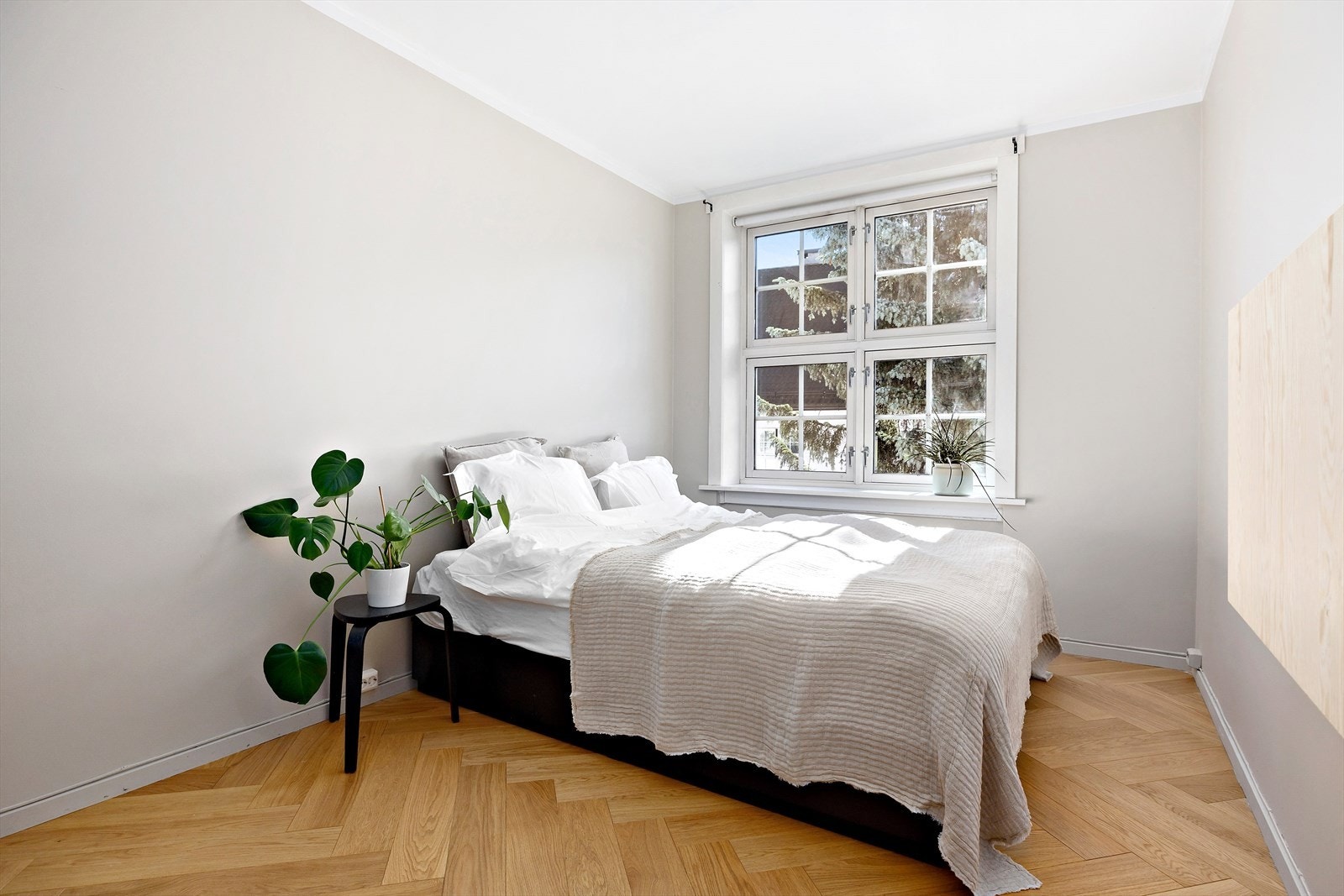 Svært romslig soverom med god plass til dobbeltseng og nattbord. Galleribilde