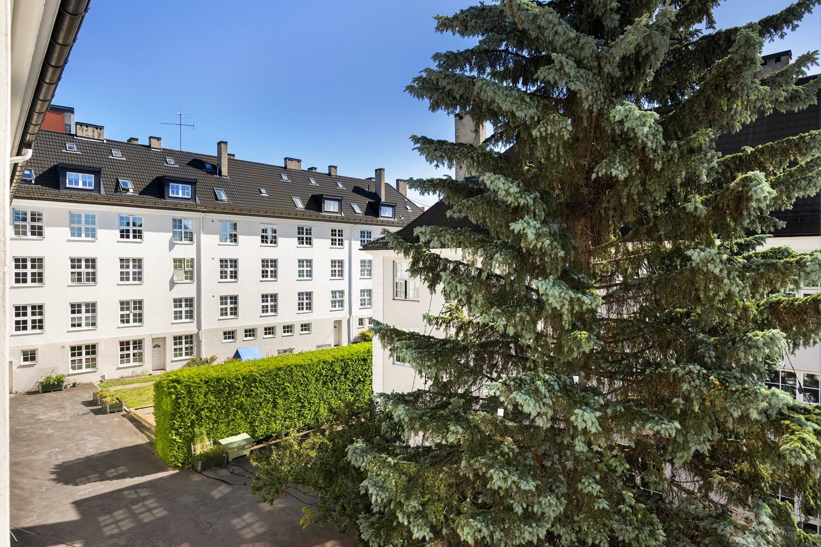 Bakgård. Galleribilde