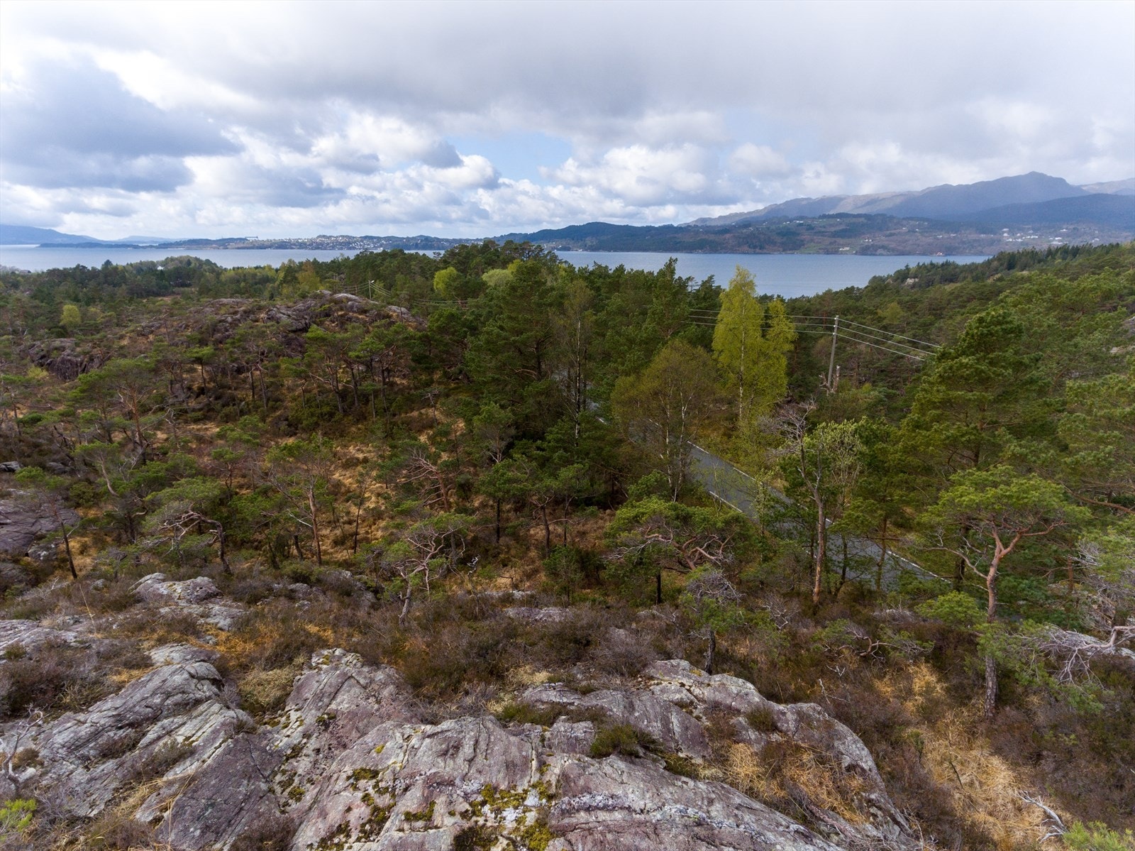 Starten av tomteområdet Galleribilde