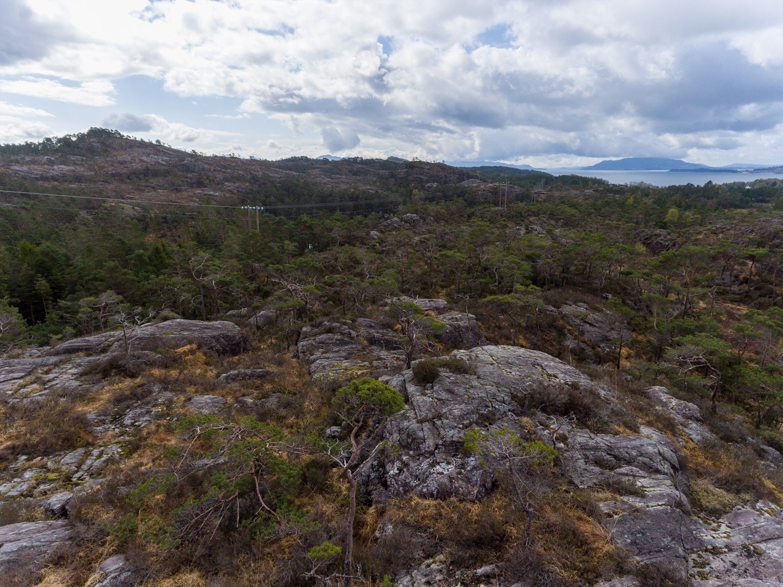 Tomten er regulert til 12 fritidsboliger, felles avkjøringsvei, felles parkeringsplass, felles lekeareal og felles grøntareal. Galleribilde