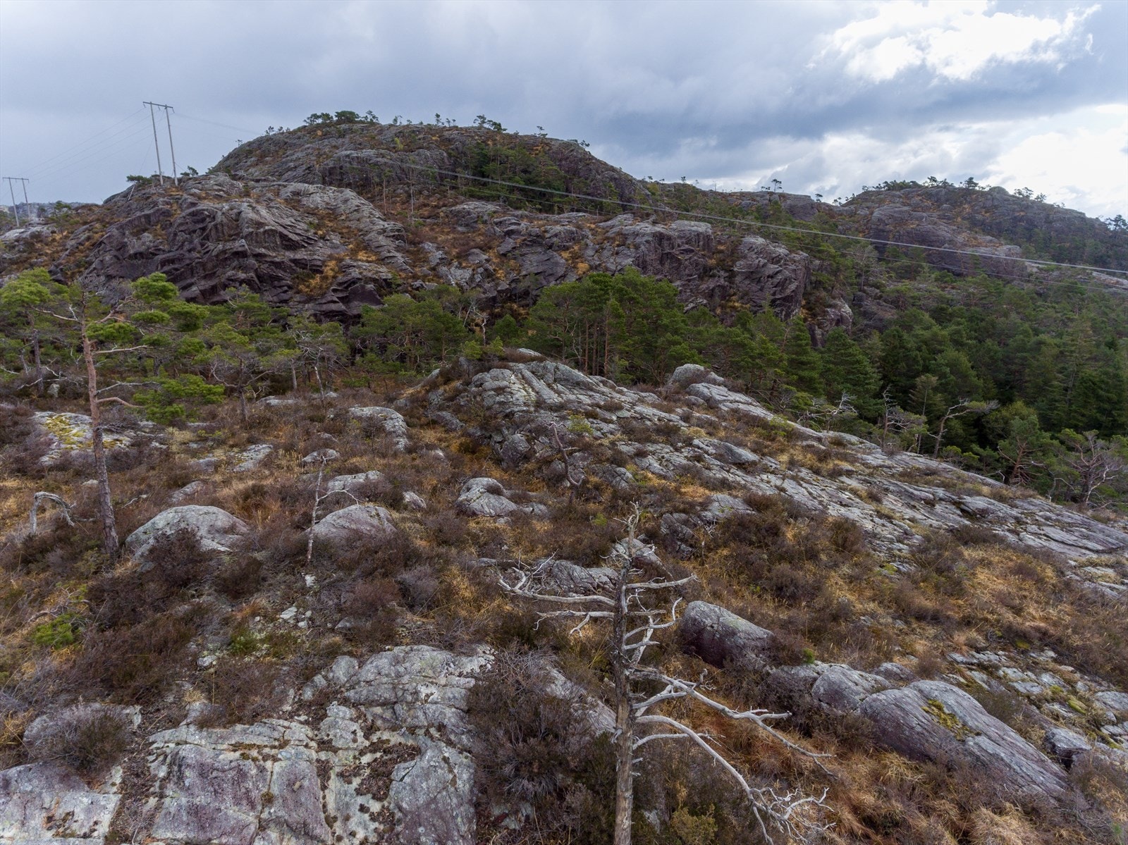 Dronefoto av området Galleribilde