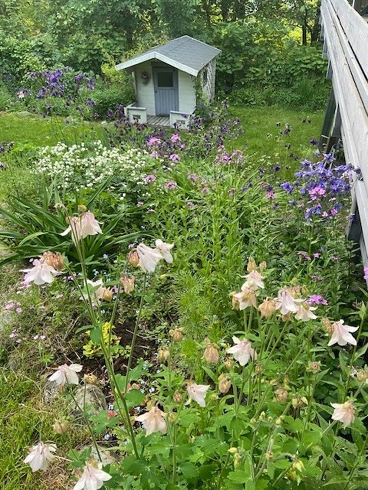 Privat bilde tatt av eier Galleribilde