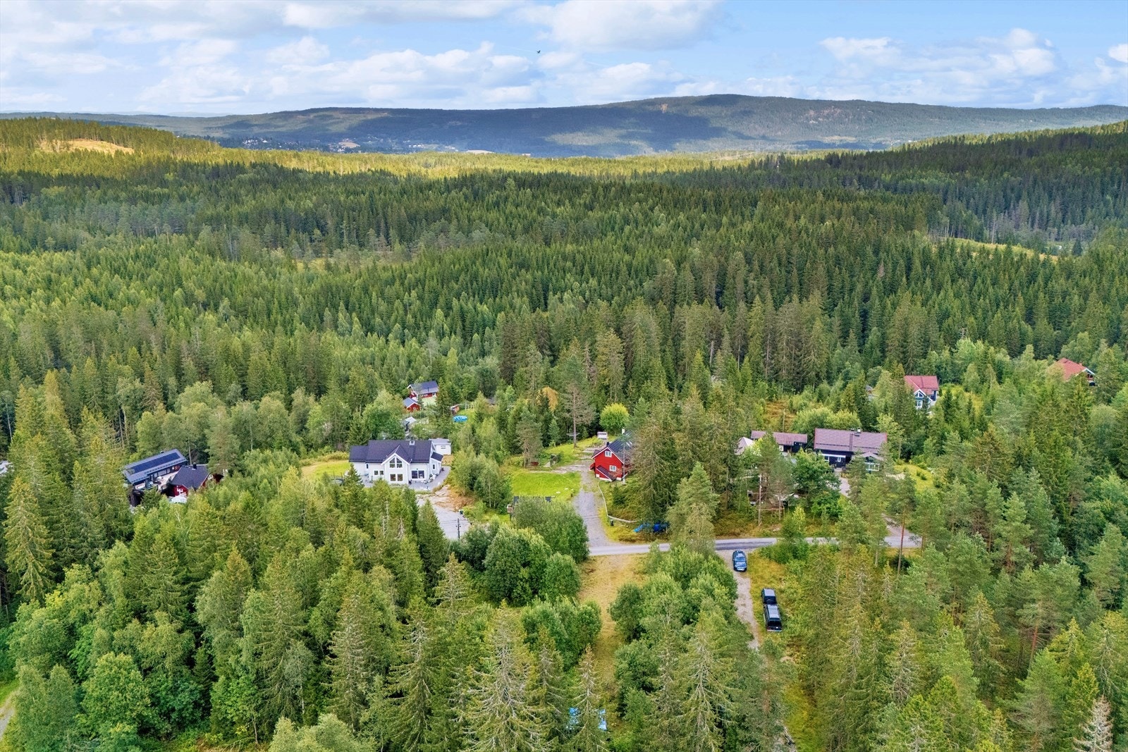 Området og lokalmiljøet er ideelt om du setter på pris på skog og mark, sommer som vinter, men likevel ønsker å være knyttet til byen. Galleribilde
