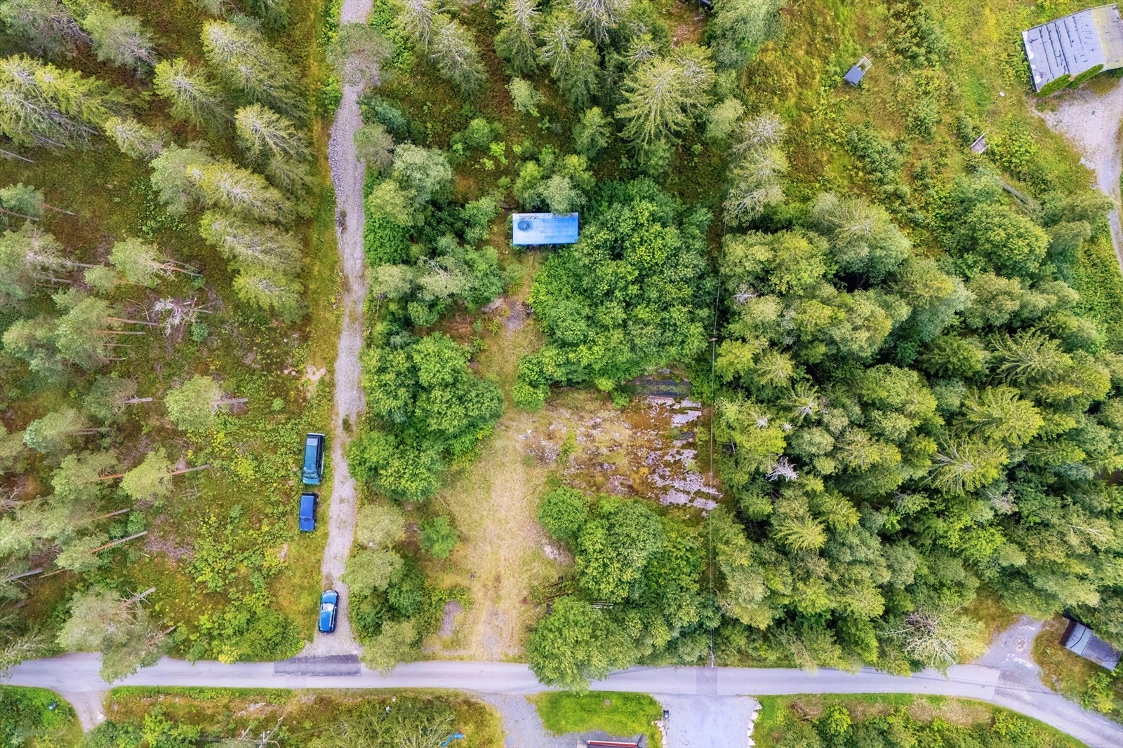 Tomten ligger i et skogsområde og er omgitt av tett vegetasjon med trær og busker. Galleribilde