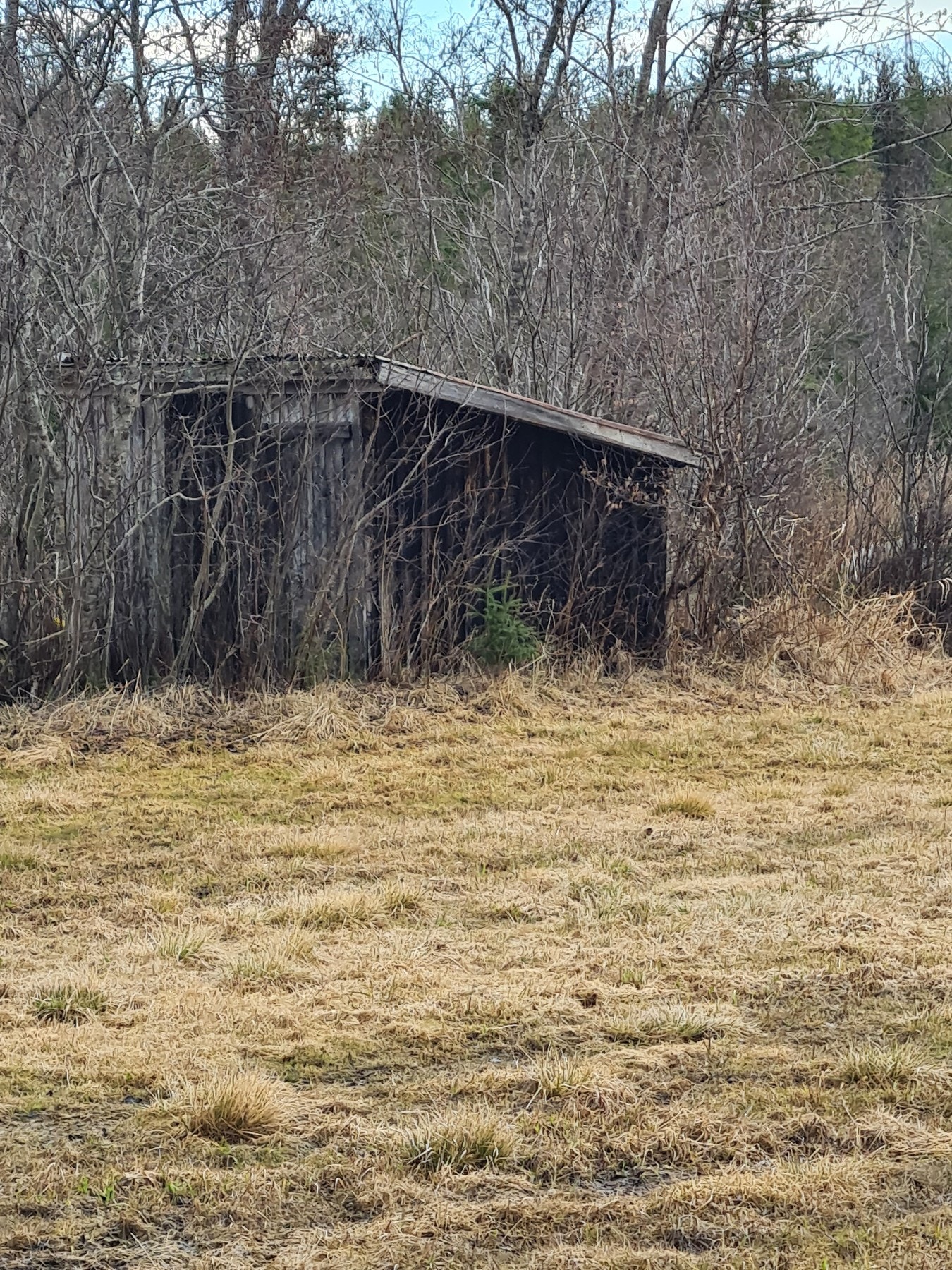 100 år gammel spise, kvilebrakke med utskjæringer i bordplata Galleribilde