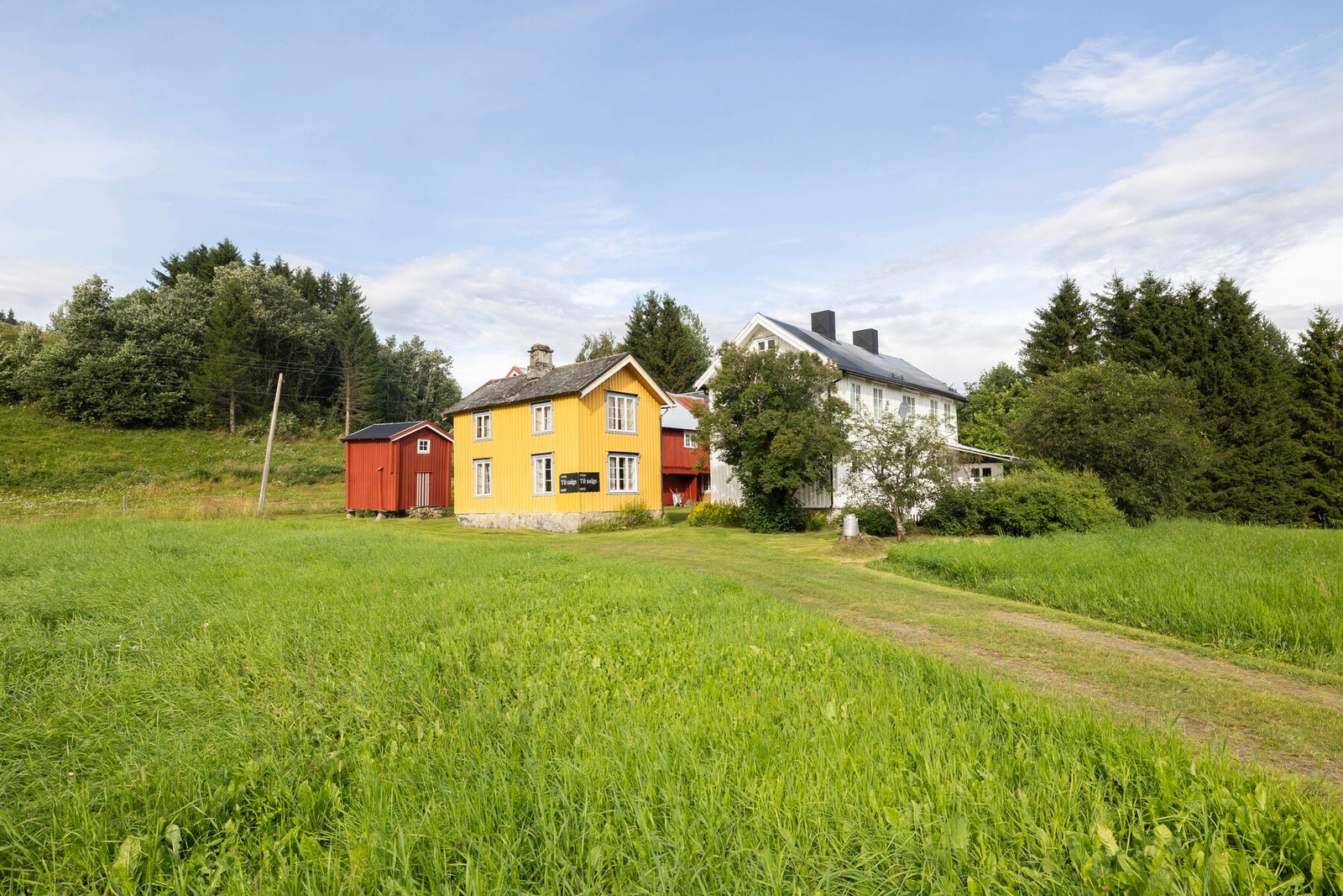 Velkommen til en hyggelig visning. Galleribilde