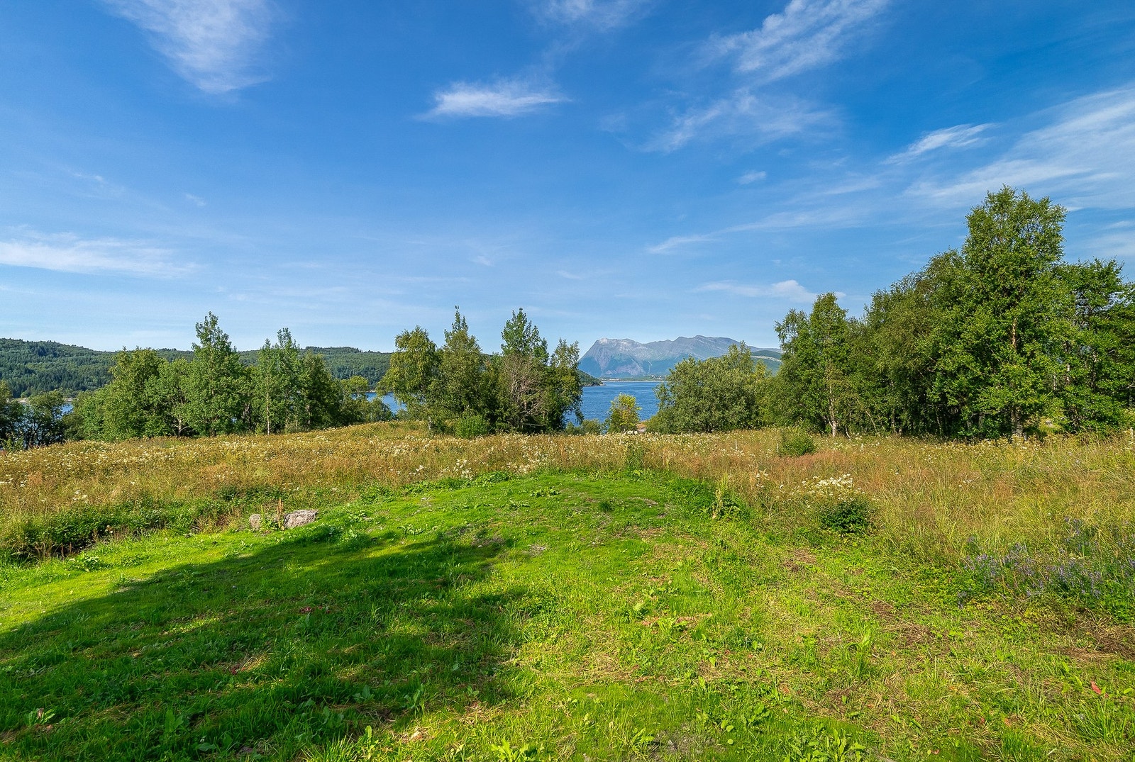 Utenfor venter åpne arealer Galleribilde