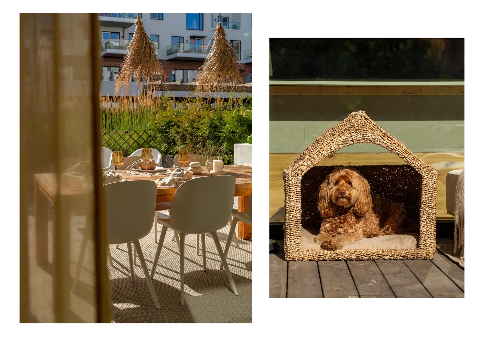 Her kommer både 2 beinte og 4 beinte til å trives. Galleribilde