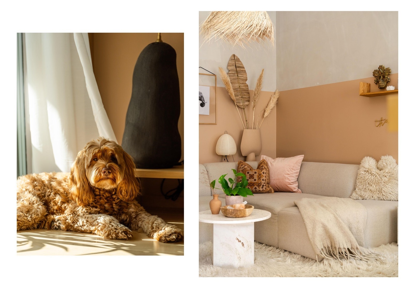 Firbeinte er velkomne i sameiet. Galleribilde