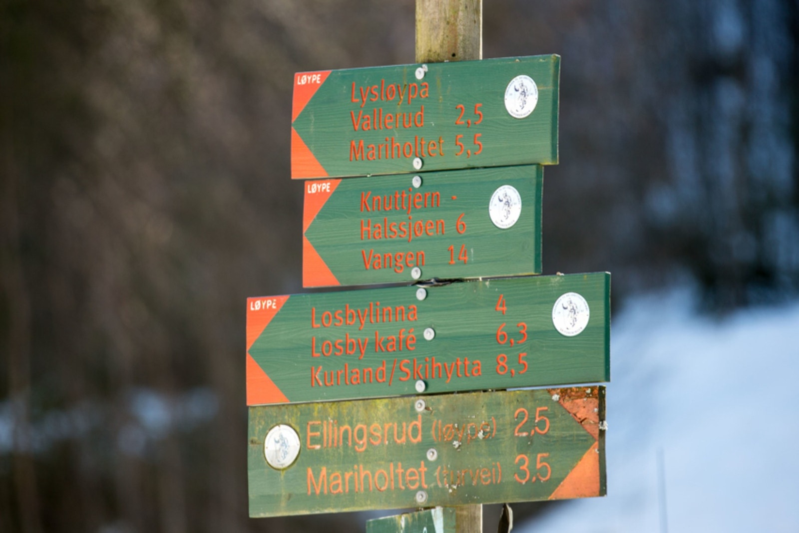 Nærhet til marka Galleribilde