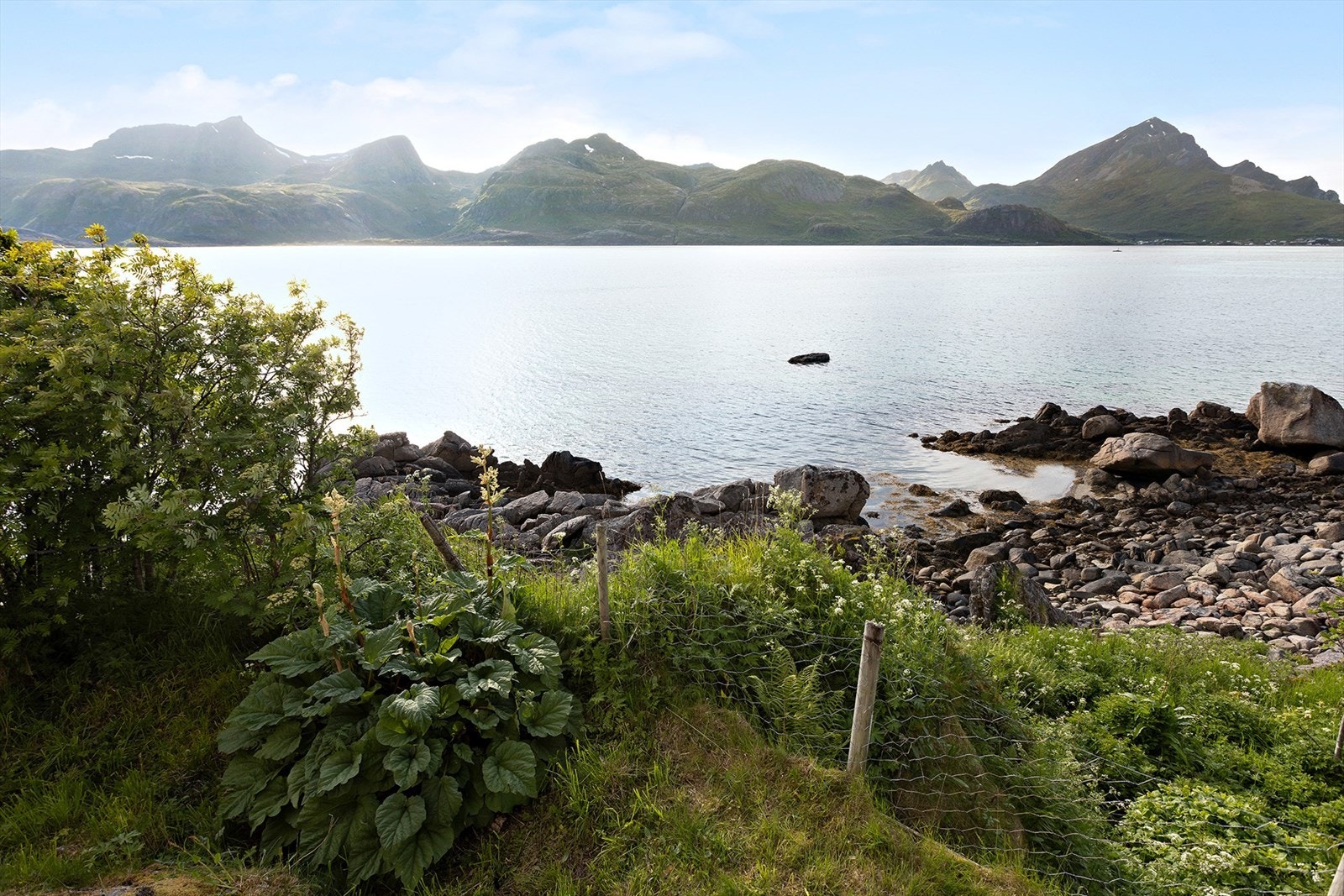 Området nedenfor boligen Galleribilde