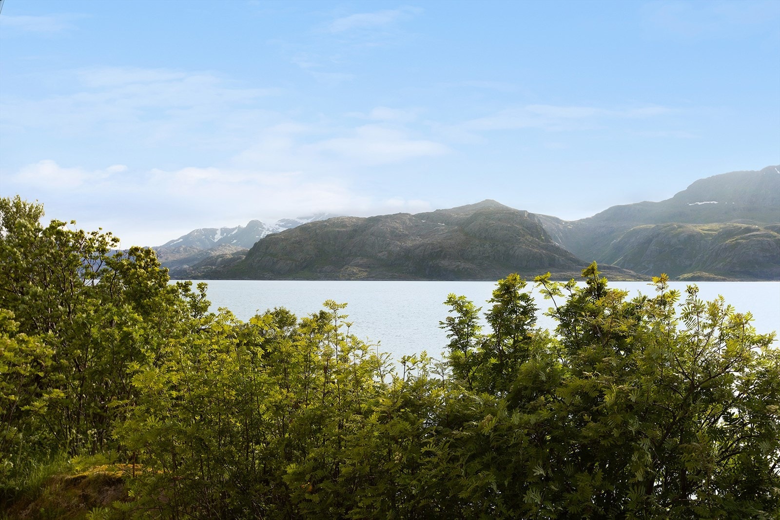 Vakker utsikt Galleribilde