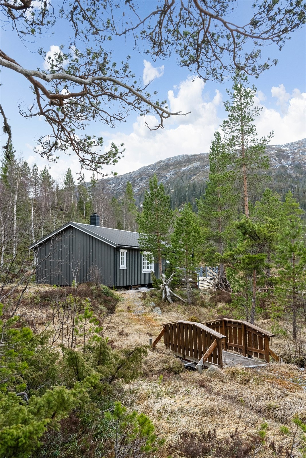 Vakre naturområder rett utenfor hyttedøren. Galleribilde