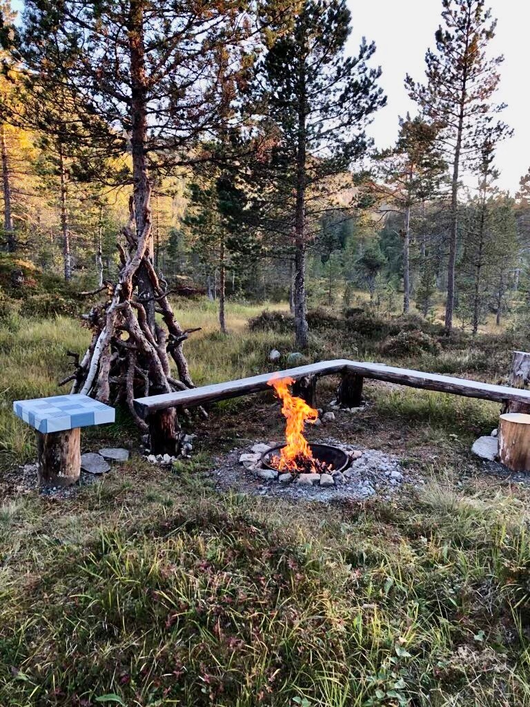 Selgers private bilde Galleribilde