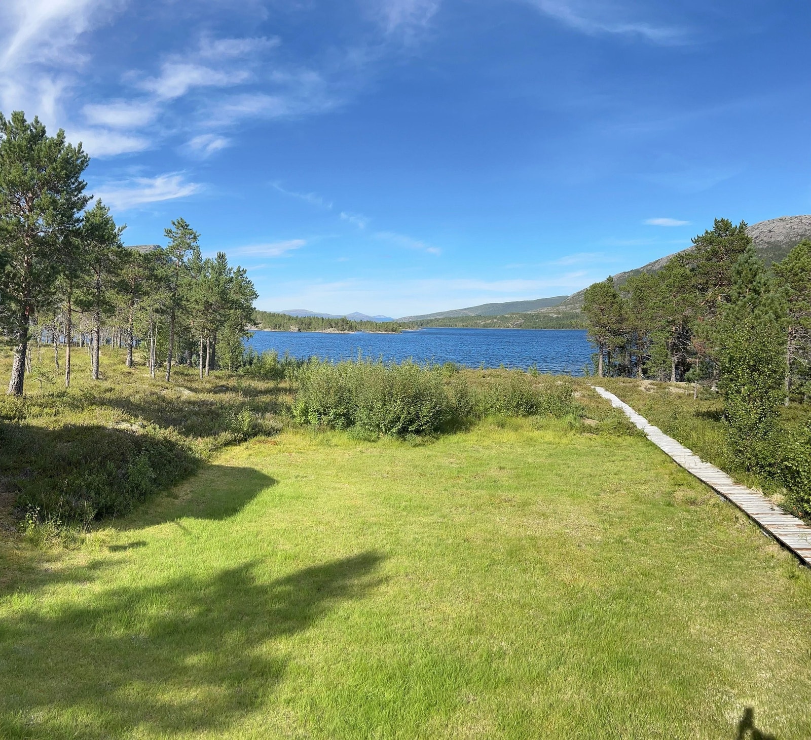 Utsikt fra veranda mot nord Galleribilde
