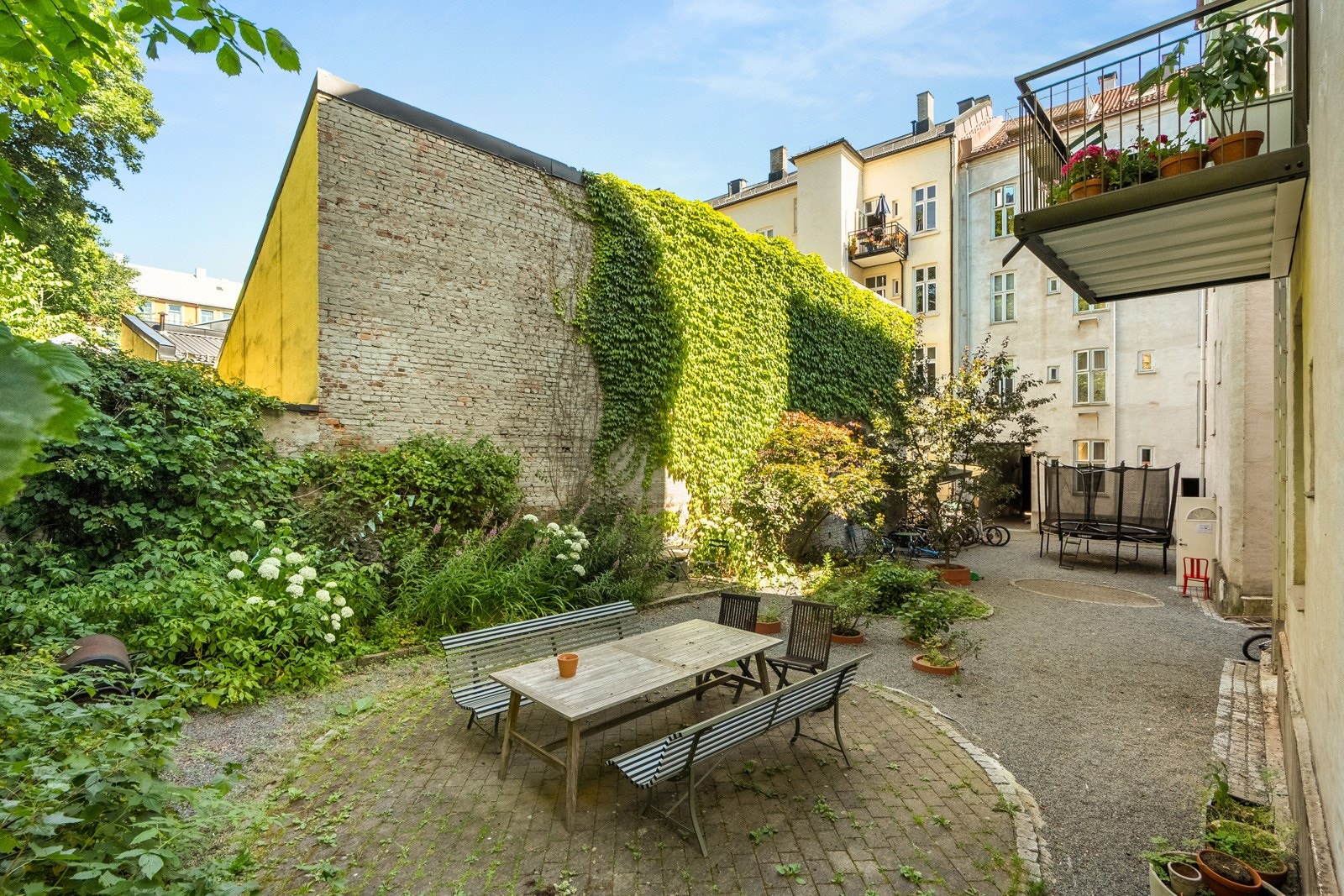 Grønn og fin bakgård Galleribilde