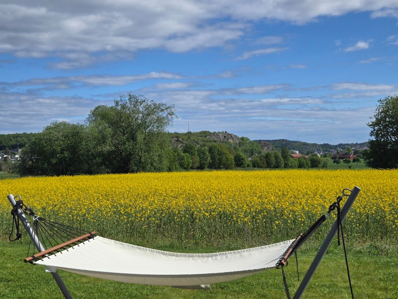 Hyggelig utsyn mot vakre rapsåkre Galleribilde