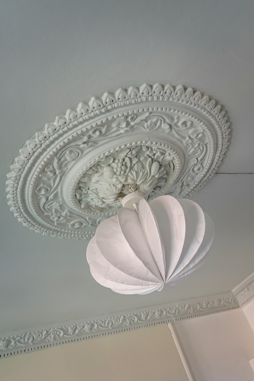 Nydelig rosett Galleribilde