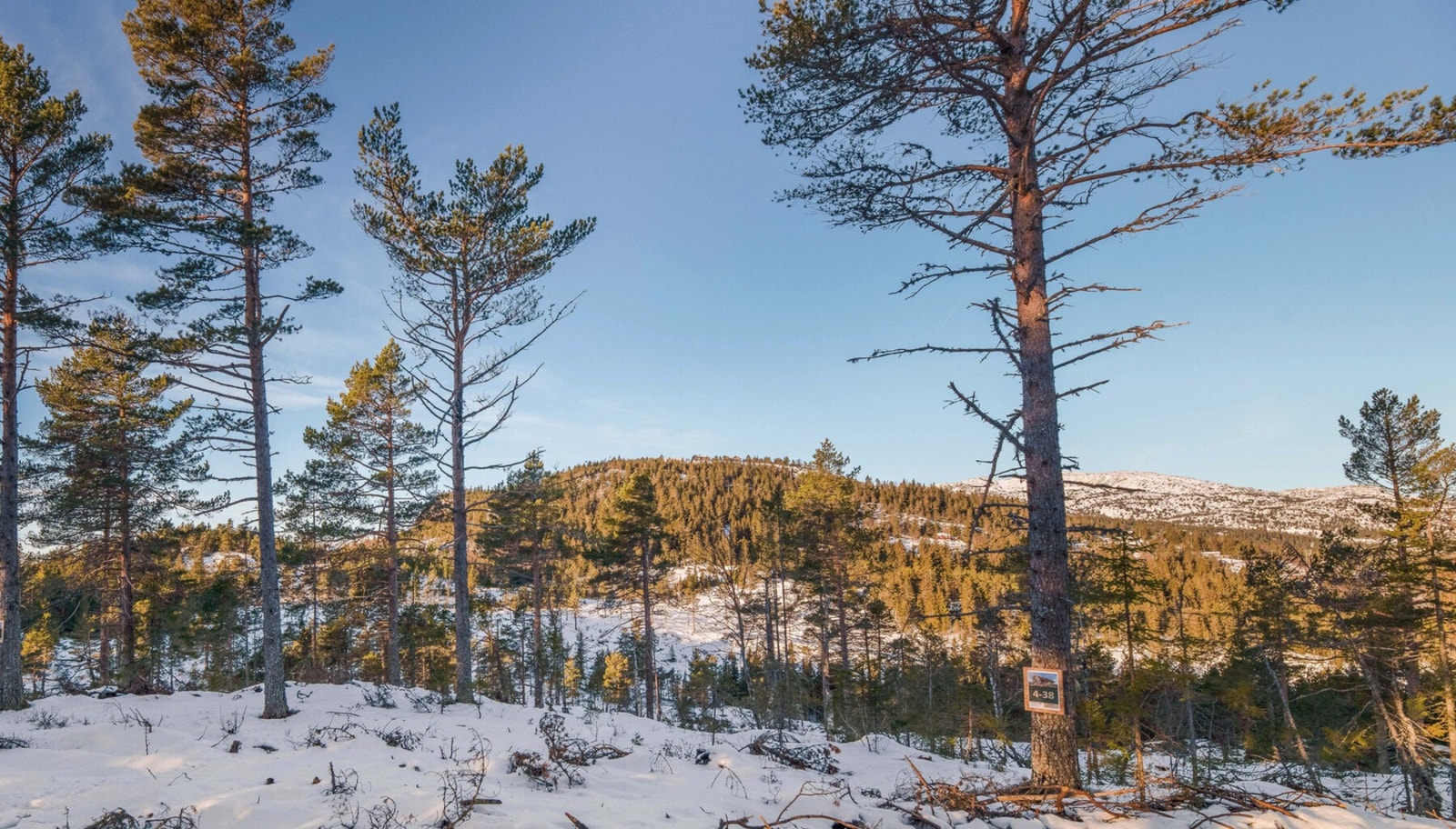 Foto fra tometområdet Galleribilde