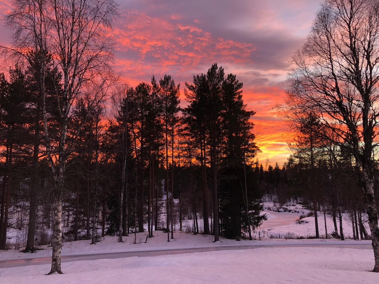 Privat foto Galleribilde