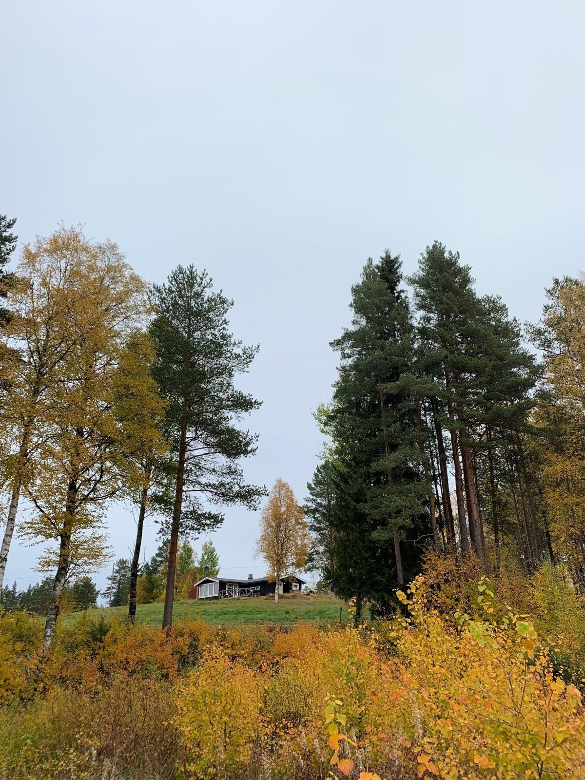 Privat foto Galleribilde