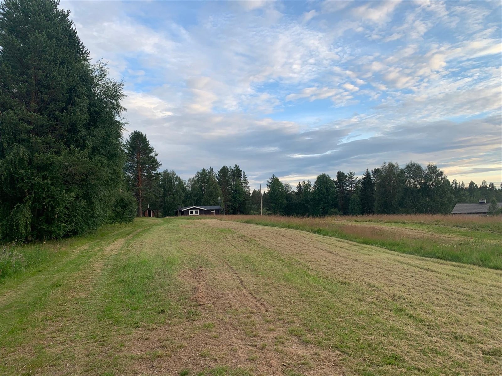 Privat foto Galleribilde