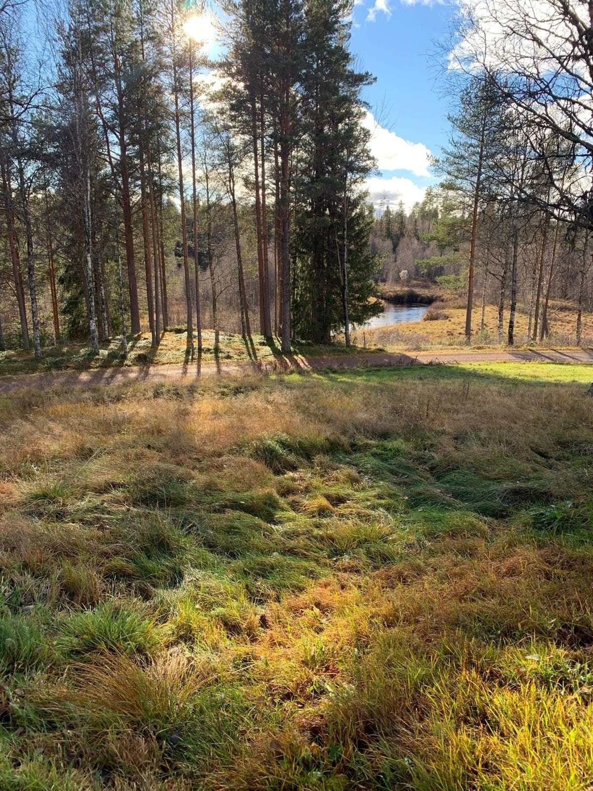 Privat foto Galleribilde