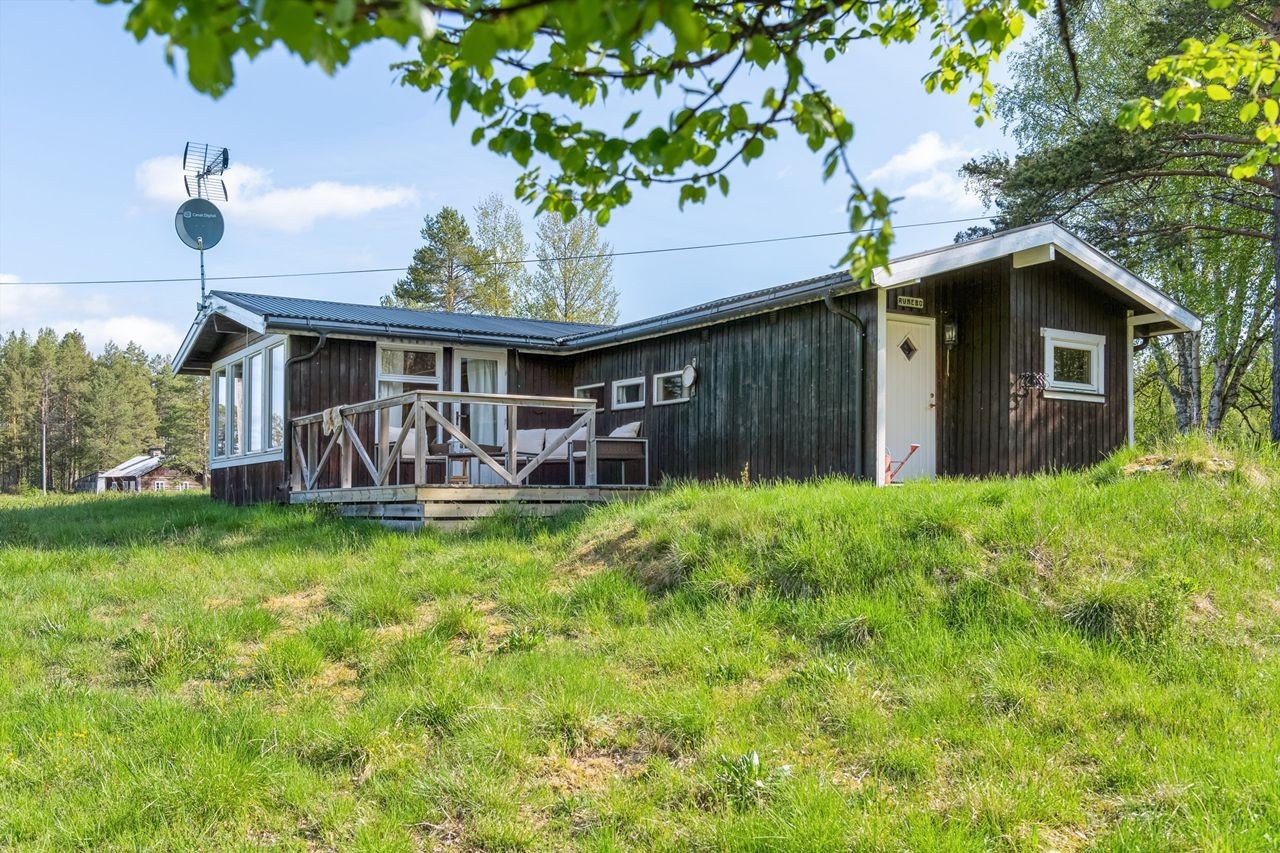 Velkommen til Grenserøysvegen 51 - koselig hytte i vakker natur! Galleribilde